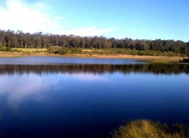 FAZENDA GUAJUVIRAS: A luta continua