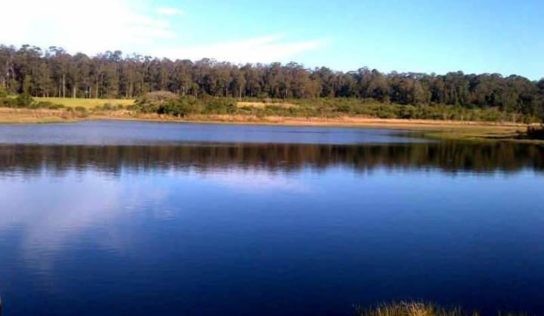 FAZENDA GUAJUVIRAS: A luta continua