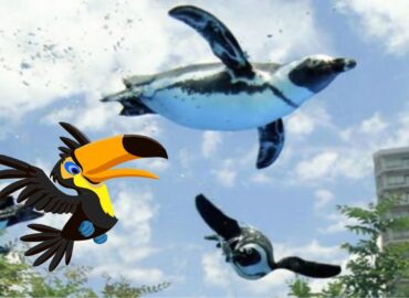 O Tucano que queria ser Pinguim