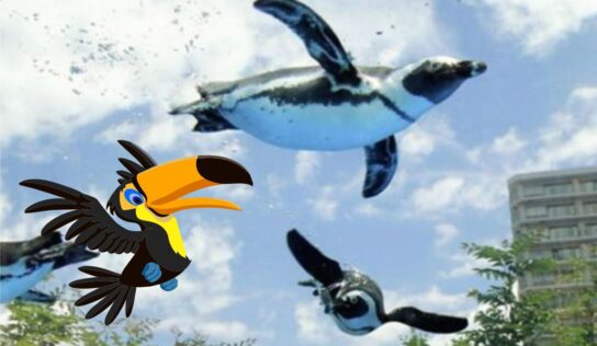 O Tucano que queria ser Pinguim