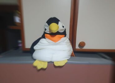 Os pinguins da Pata“agonia”