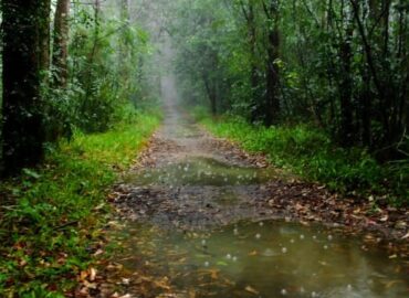 Uma pista de Mountain bike no Capão, mas será que os usuários querem?