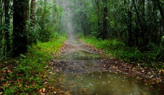 Uma pista de Mountain bike no Capão, mas será que os usuários querem?