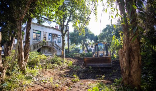 Após alertas, Prefeitura de Canoas faz poda e limpeza na área da Villa Nênê